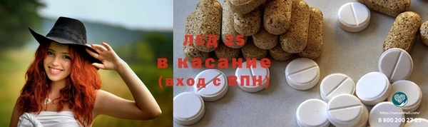 PSILOCYBIN Баксан