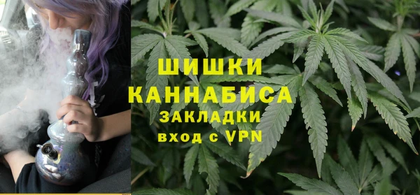 PSILOCYBIN Баксан